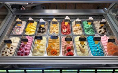 Top Ice Cream Franchise Opportunities: Your Guide to Sweet Success in 2024